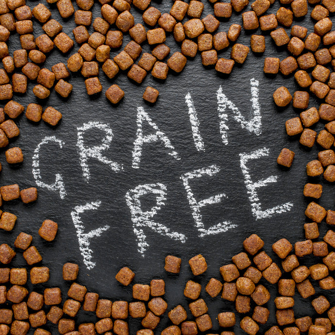 The Benefits of Grain Free Dog Food: